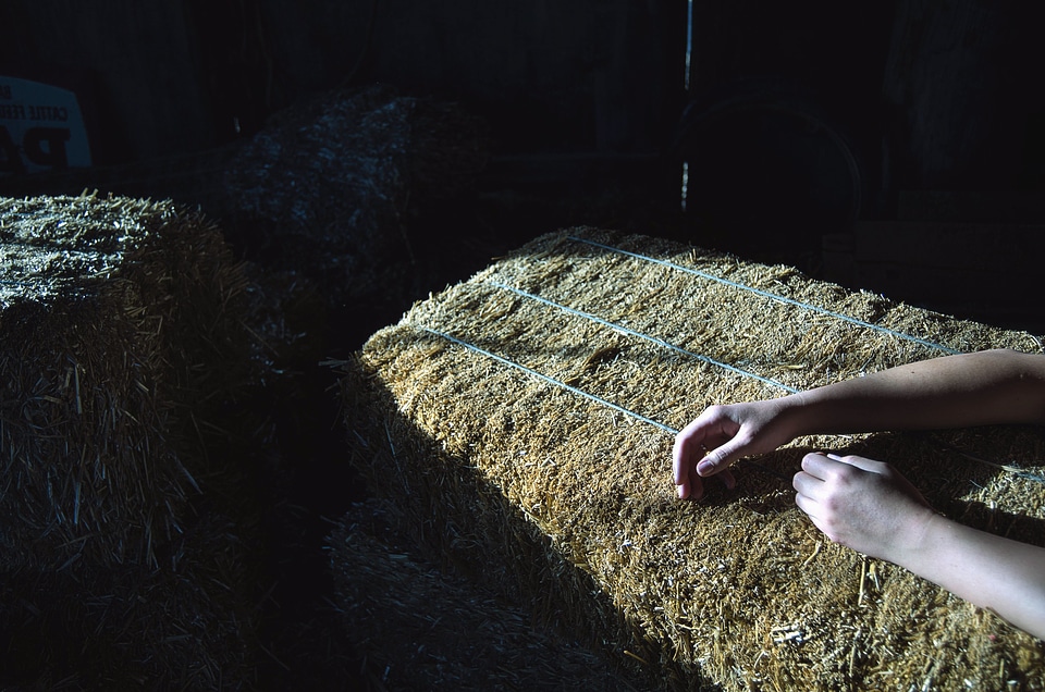Agriculture barn hand