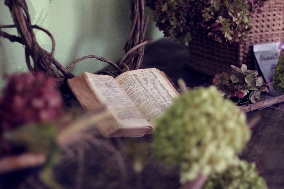 Blossom book decoration