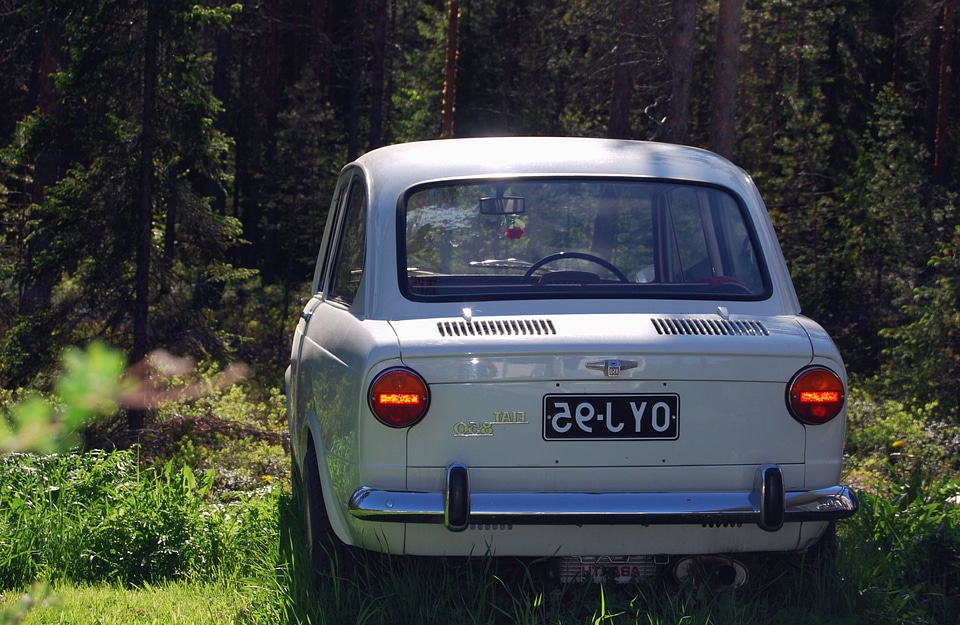 Automobile beautiful photo forest