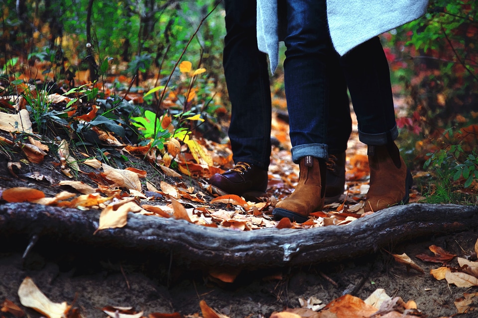 Fashion forest leaf