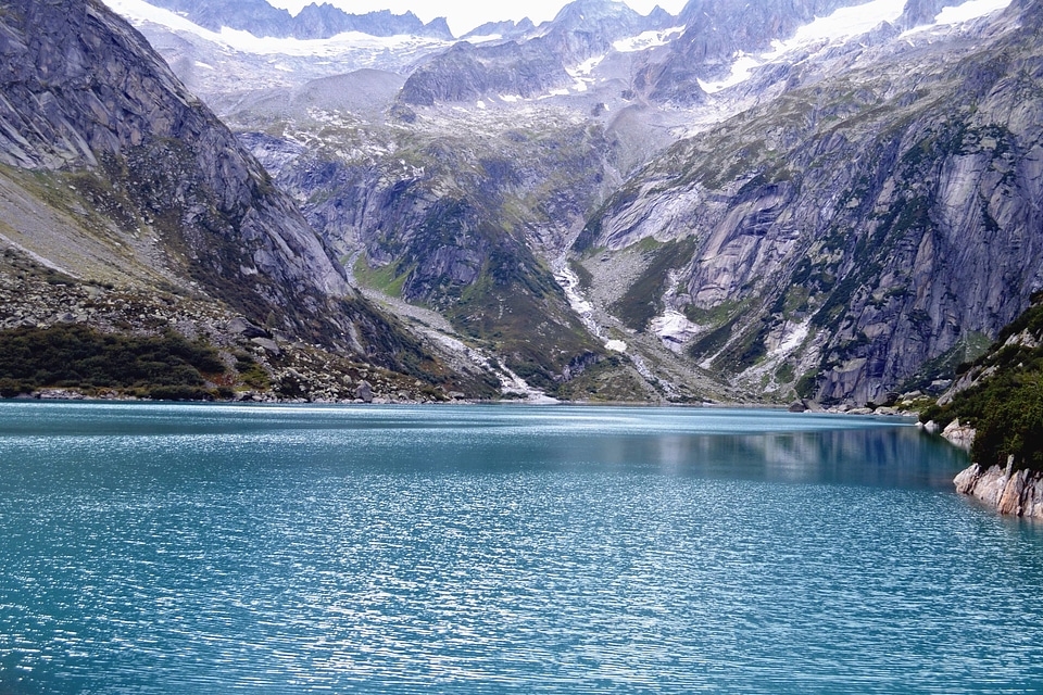 Forest lake lakes
