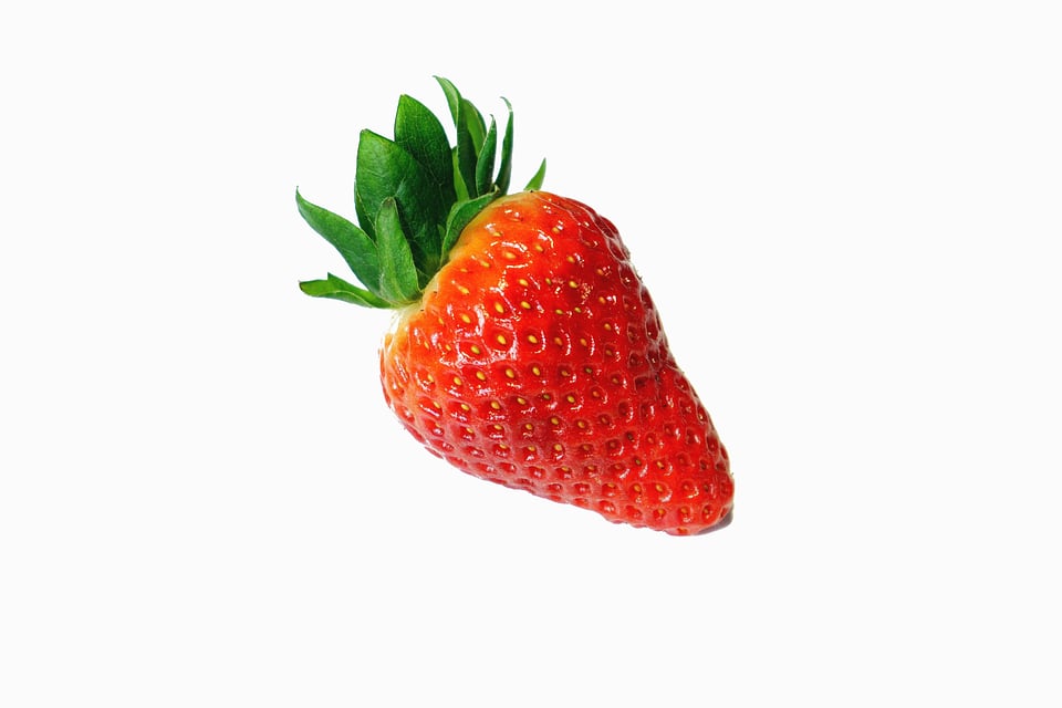 Beautiful Photo diet food