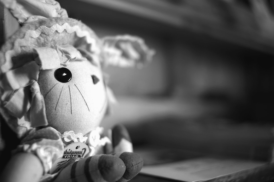 Black And White doll monochrome