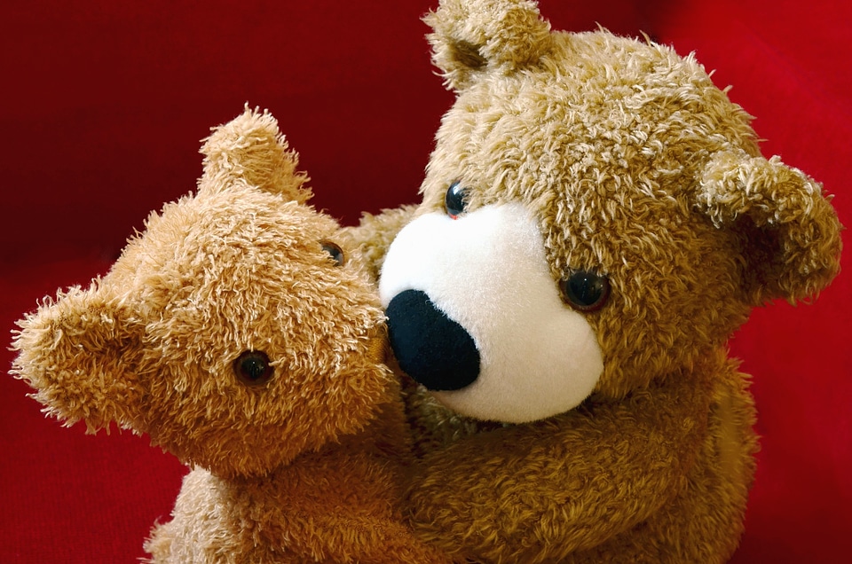 Beautiful Photo photo studio toy