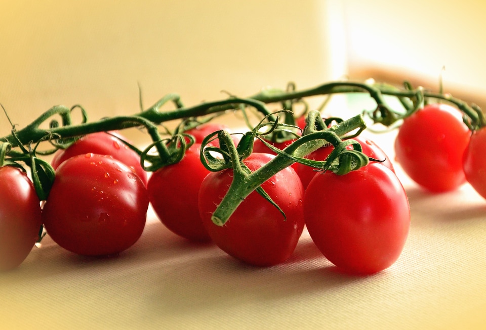 Beautiful Photo diet food