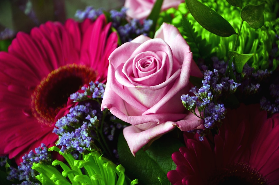 Arrangement beautiful photo blossom