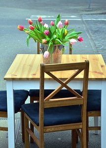 Chair flora flower photo