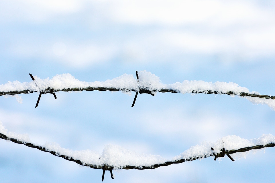 Barbed Wire iron metal