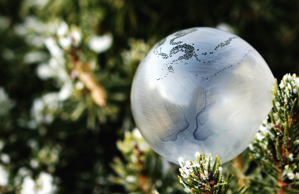Ball-Shaped cold fir