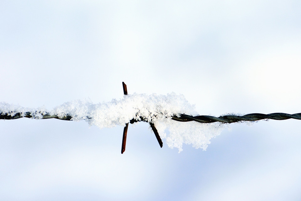 Barbed Wire iron metal