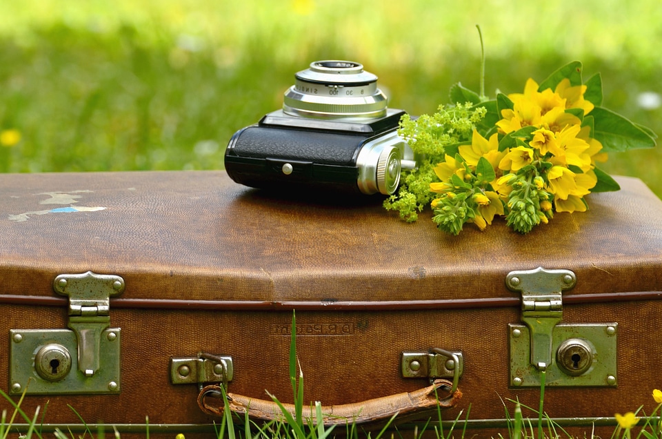 Beautiful Photo camera flower