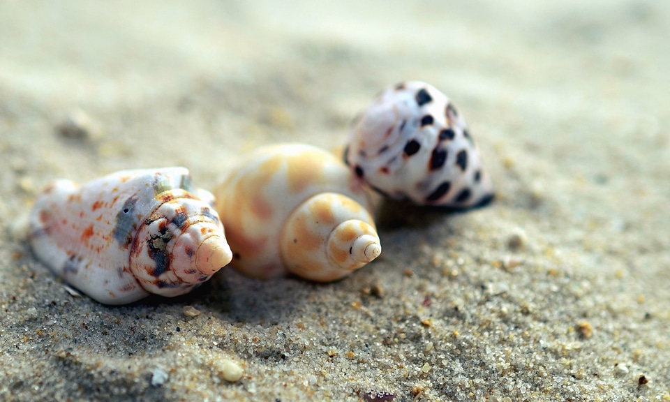 Beach beautiful photo sand