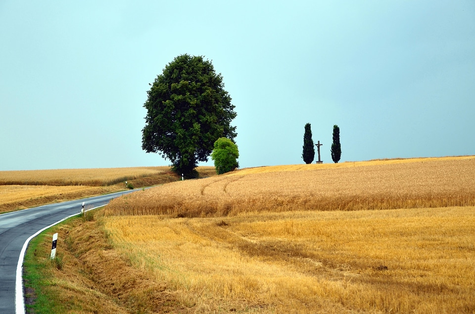 Agriculture blue sky farming