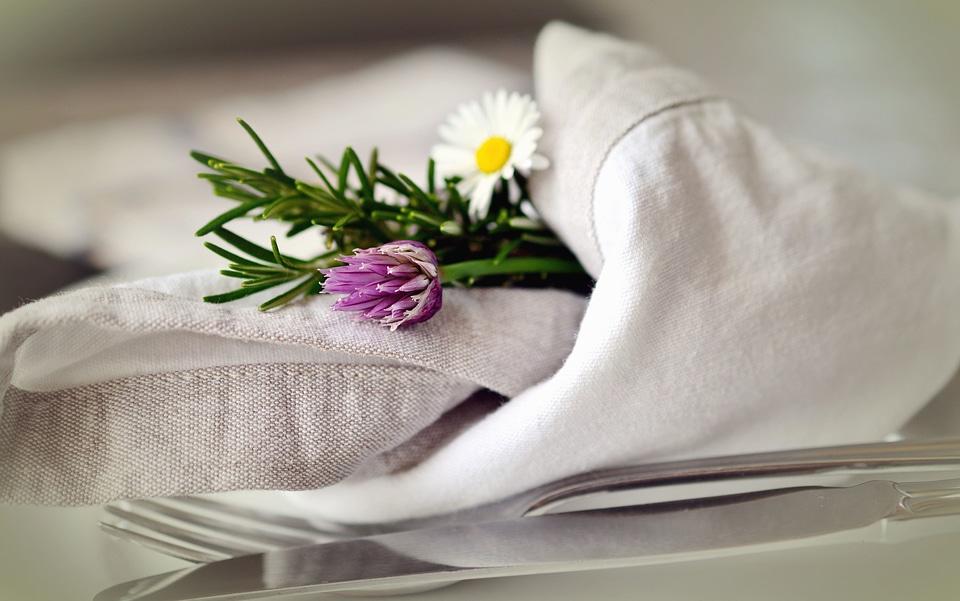 Beautiful Photo cloth daisy