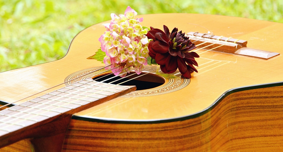 Decoration flower guitar