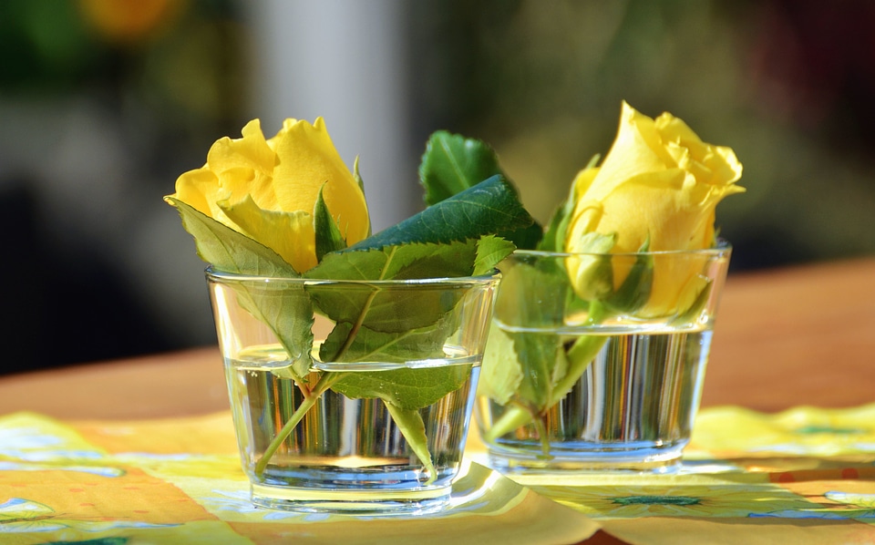 Flower glass petal