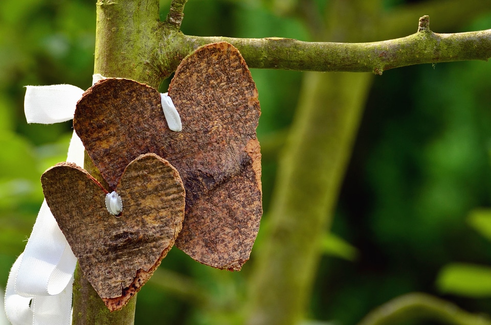 Bark decoration heart