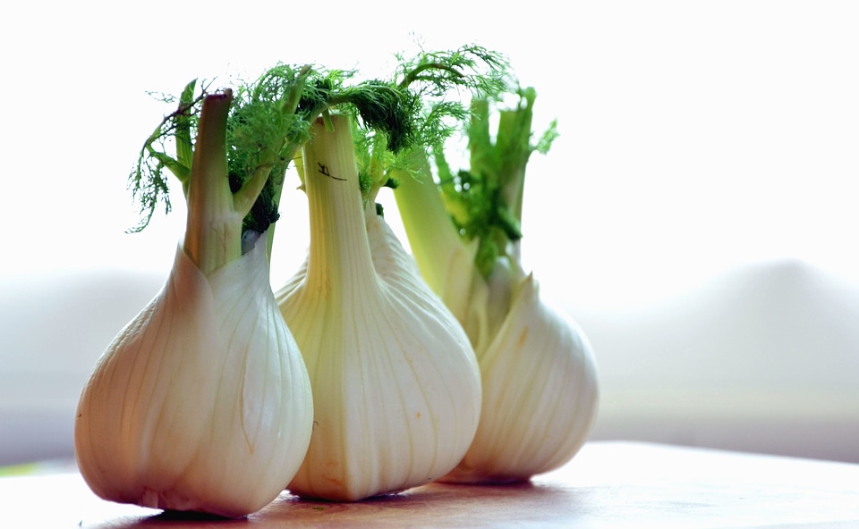 Beautiful Photo food herb