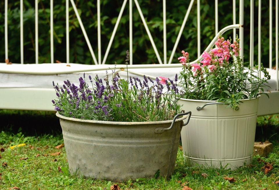 Bucket decoration flower