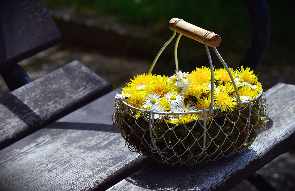 Basket bouquet daisy