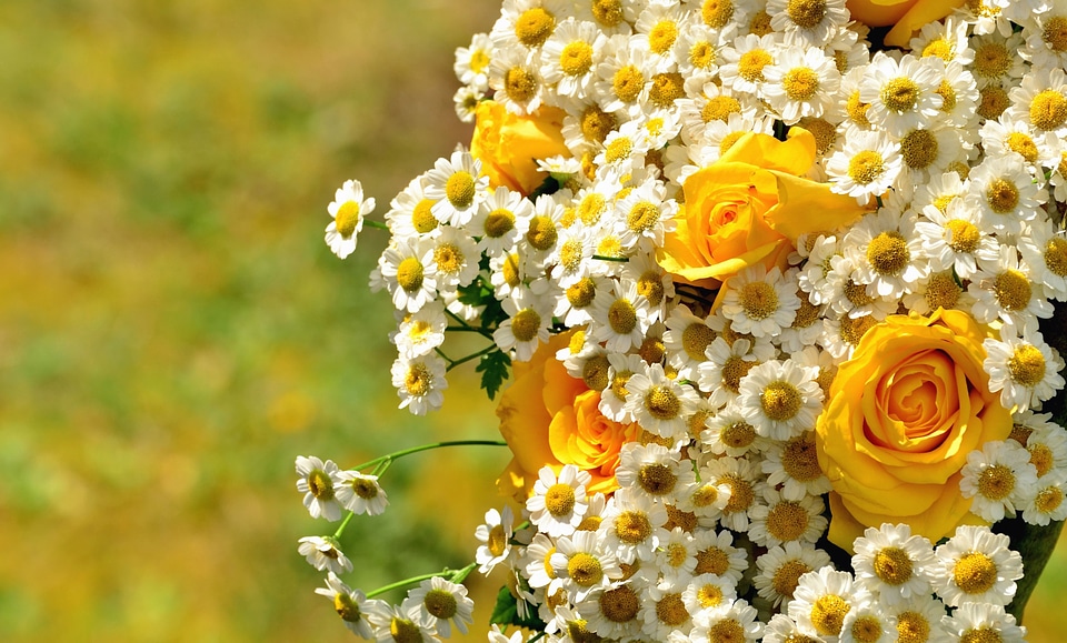 Beautiful Photo blossom bouquet photo