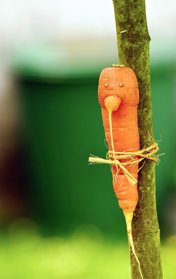 Branch carrot decoration