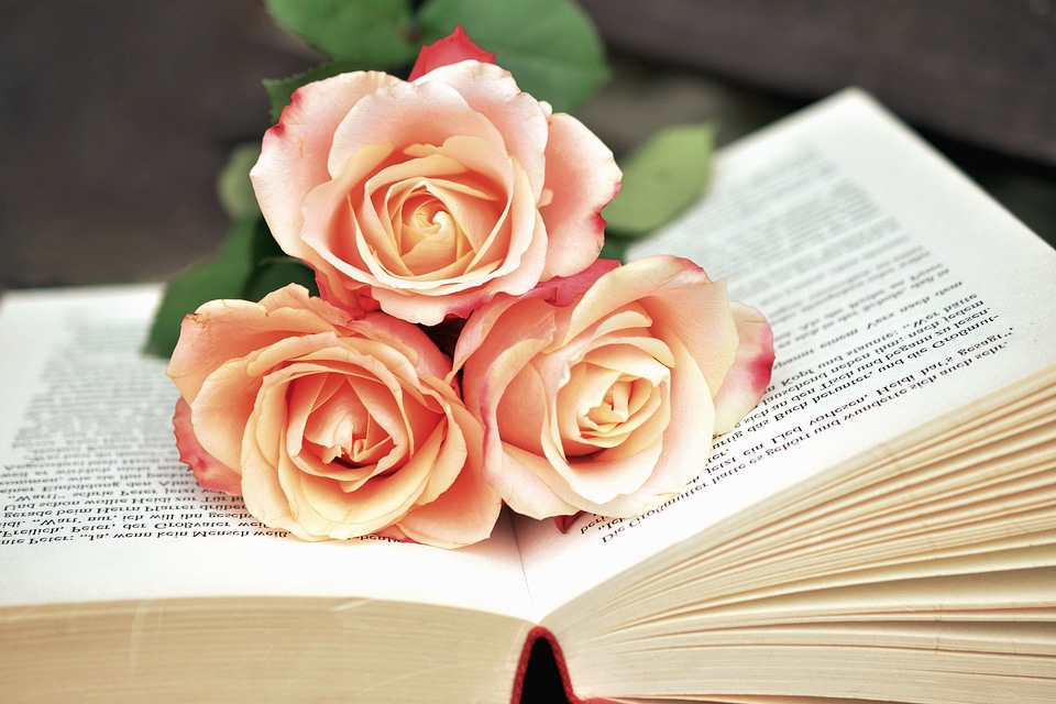 Beautiful Photo book books