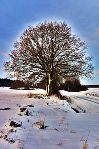 Cold frozen road