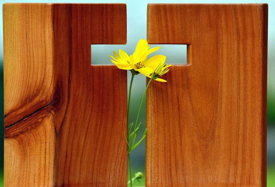 Cross flower religion
