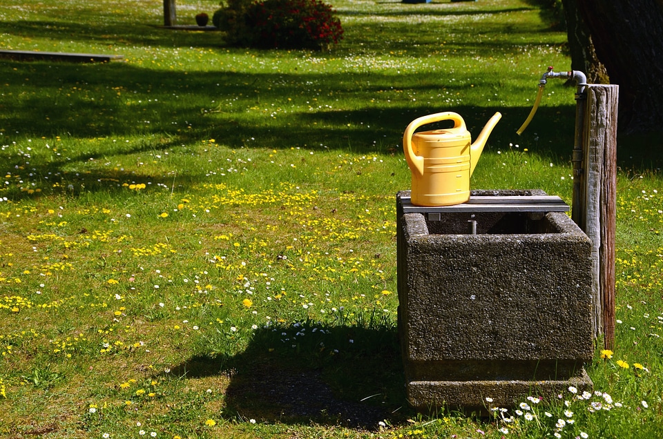 Faucet flowers grass