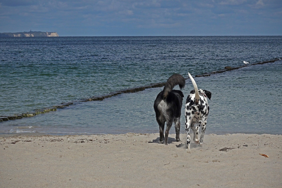 Sand baltic sea vacations