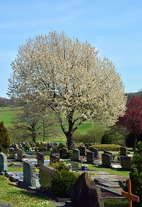 Cross grass monument
