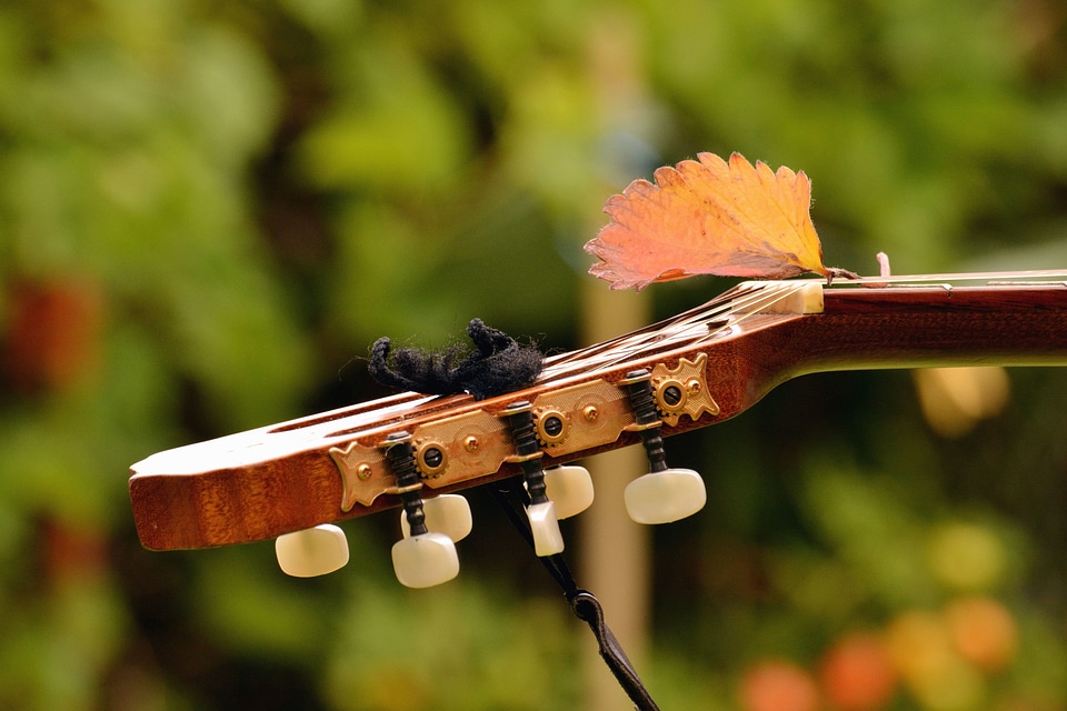 Guitar instrument music