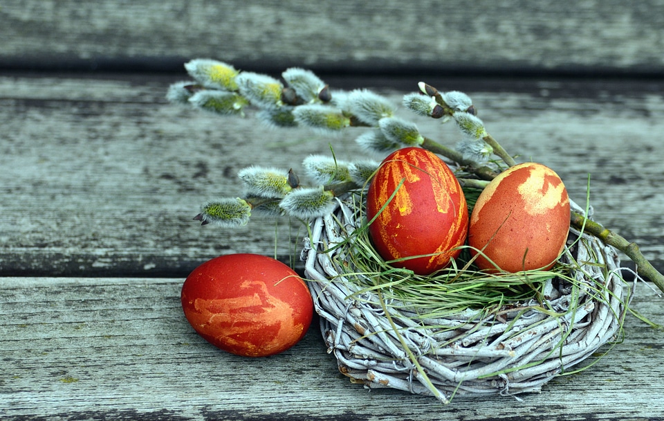 Beautiful Photo branch easter