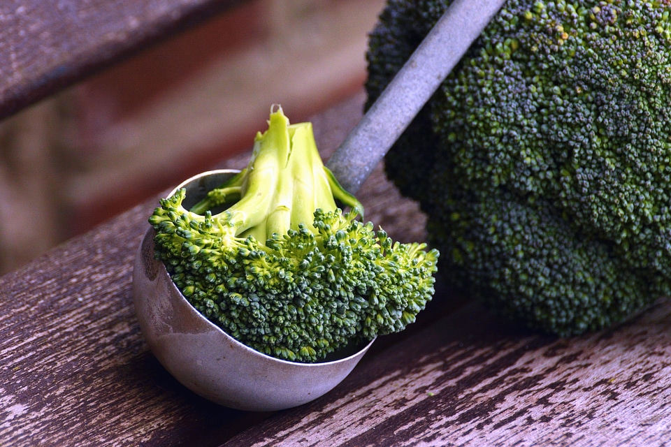 Bench broccoli food