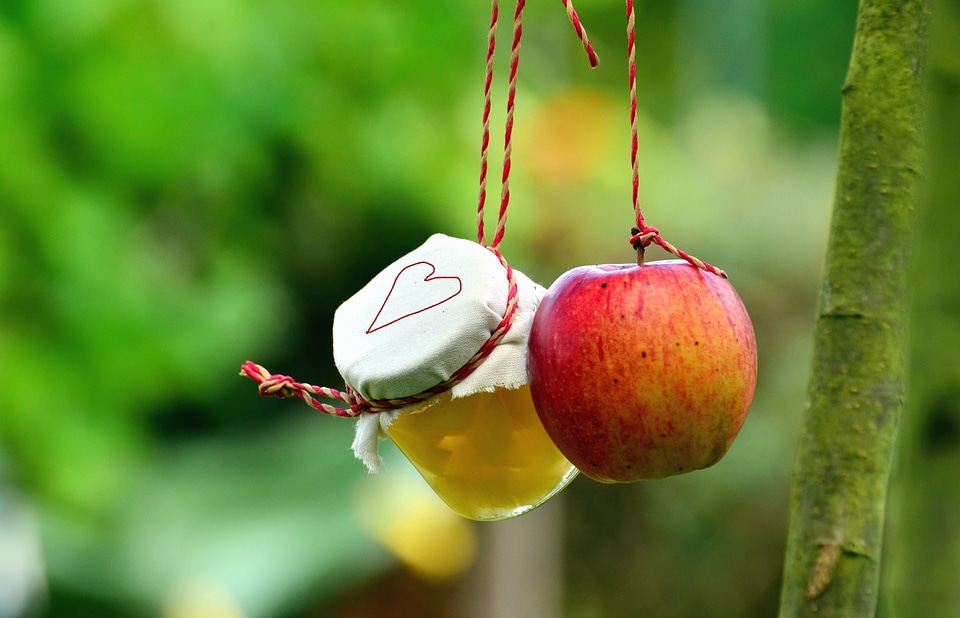 Apple beautiful photo honey