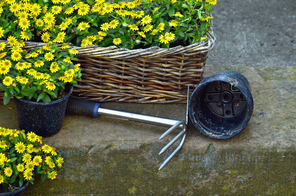 Basket bloom flower garden