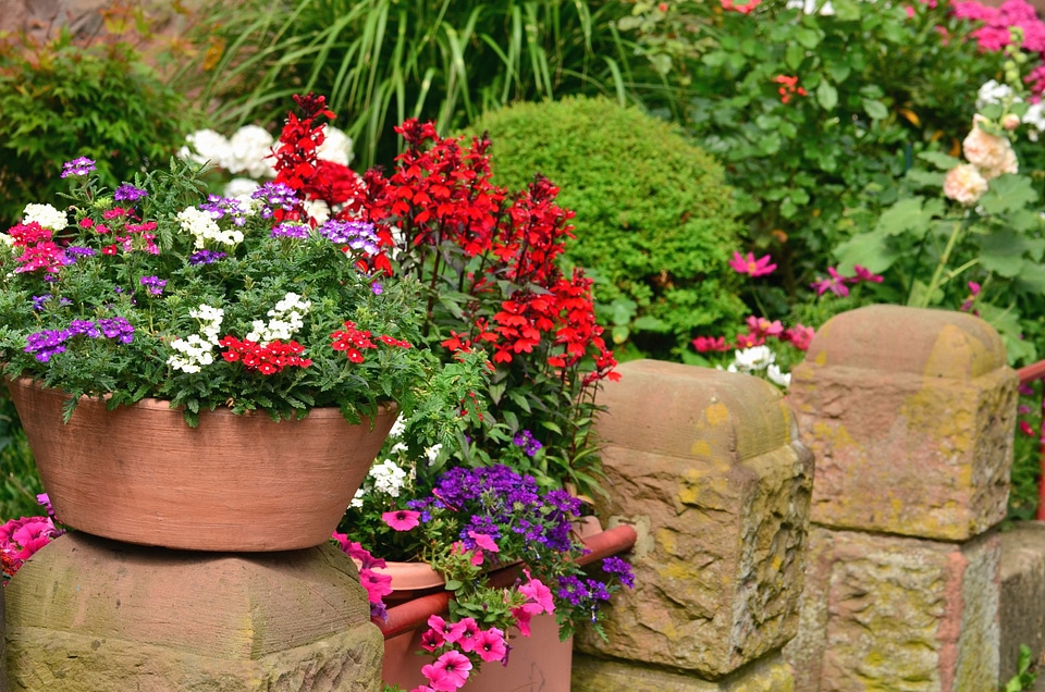 Ceramics flower flowering