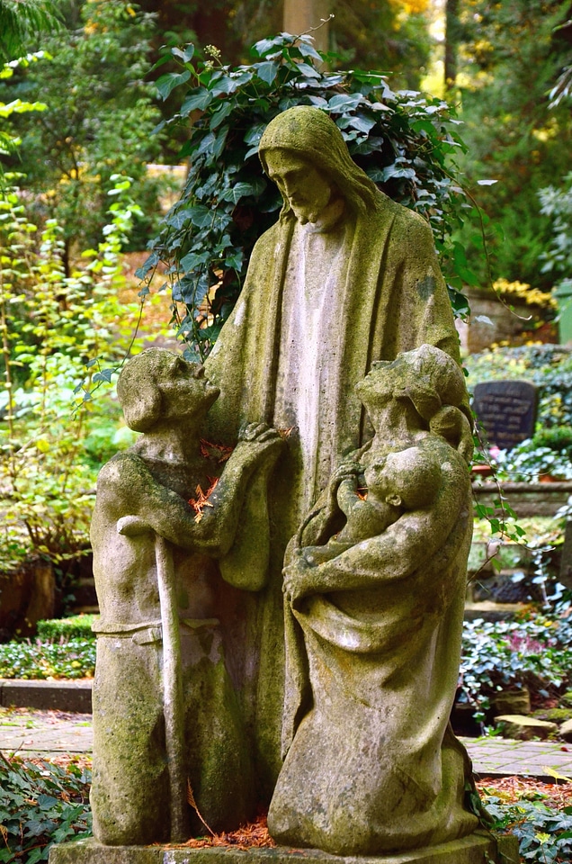 Art garden plant