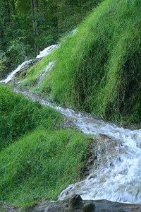 Murmur great brook idyllic