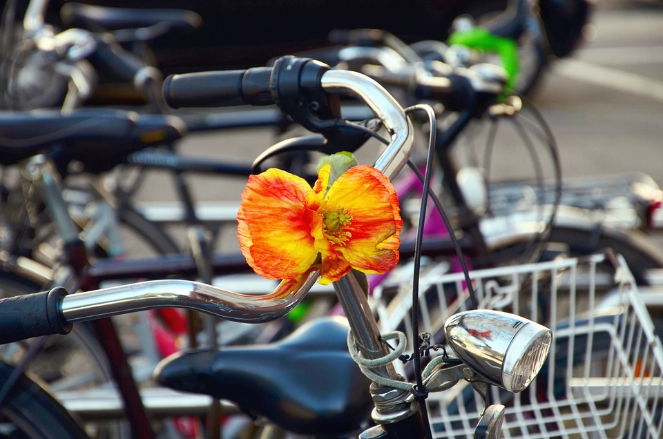 Bicycle bicycling bulb
