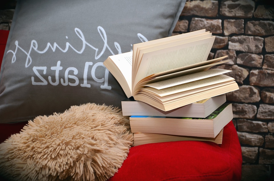 Book brick learning