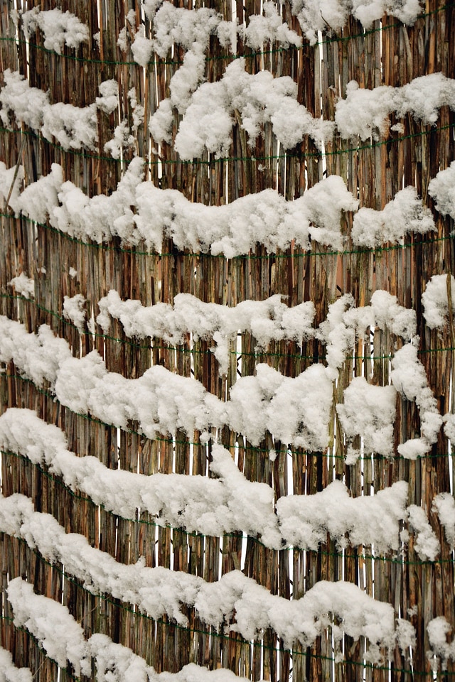 Cane cold fence