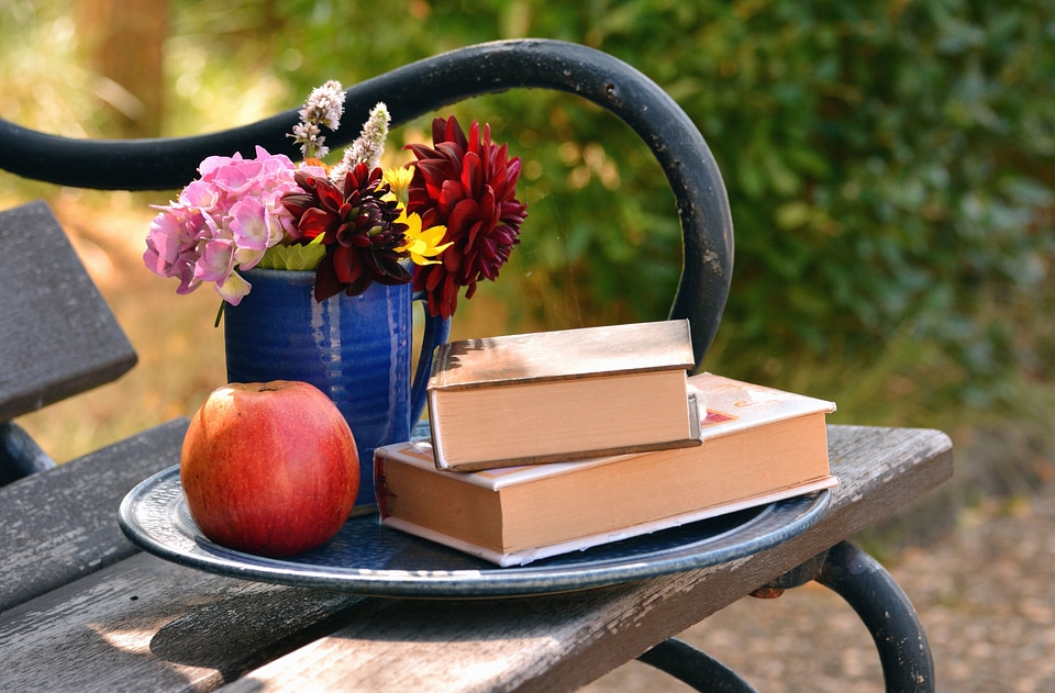 Apple beautiful photo bench