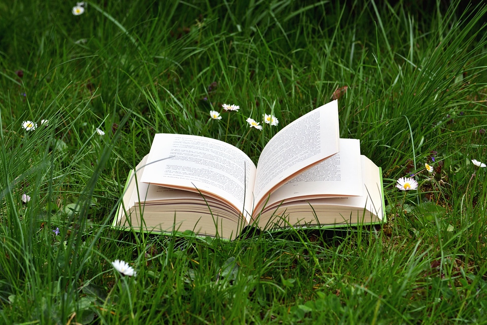 Book daisy grass