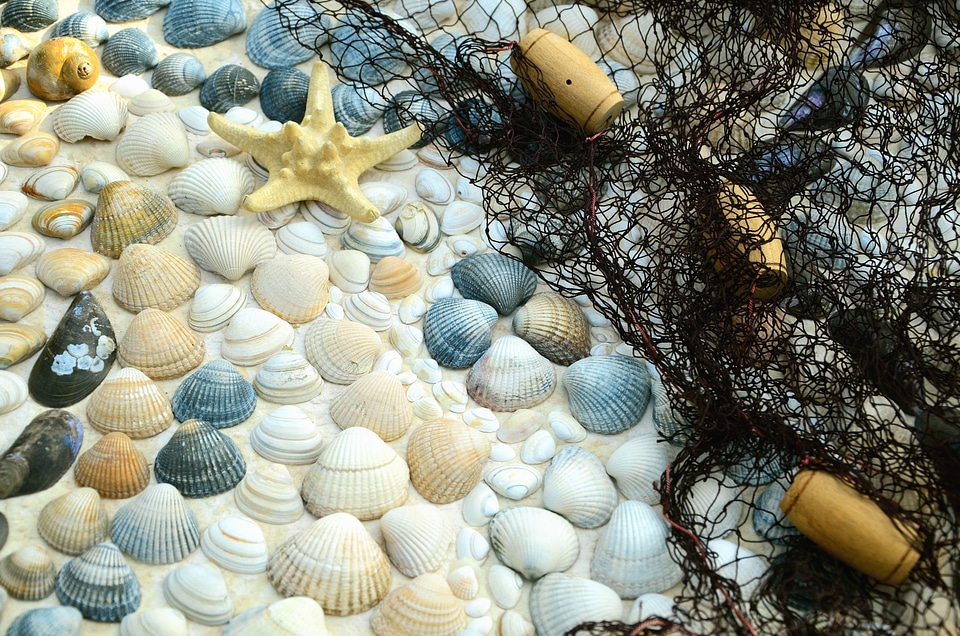 Fishing Gear rock sea