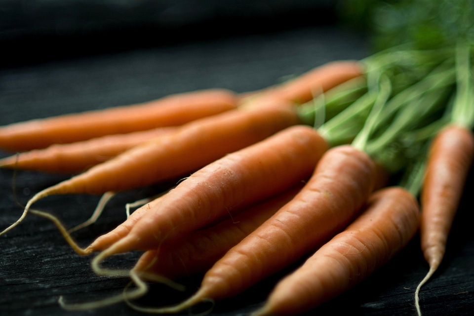 Carrot diet dietary