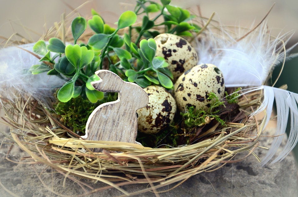 Bunny decoration easter
