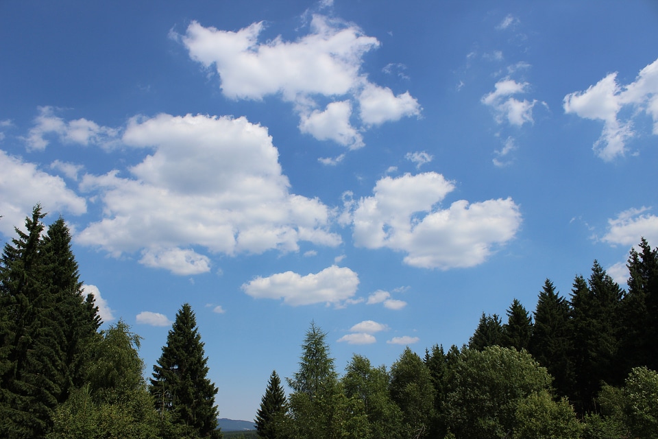 Nature landscape weather