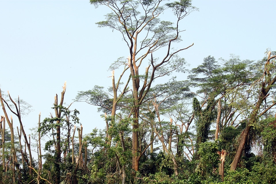 Agriculture outdoors environment